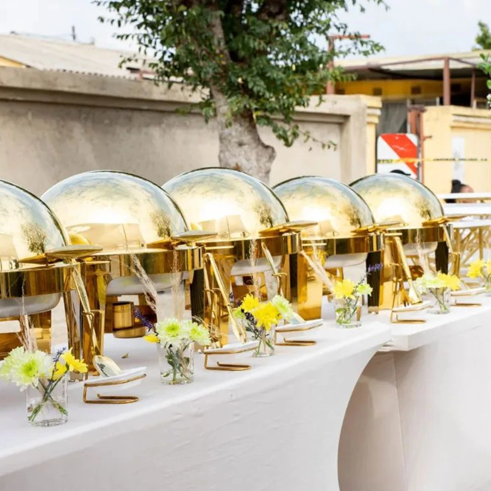 Dongzhaowei Wholesale Roll Top Chafing Dish Series Ideal for Buffet Restaurants (2)